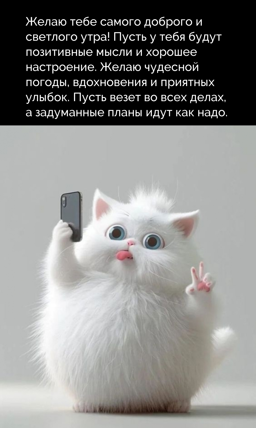 Желаю тебе самого доброго и светлого утра!