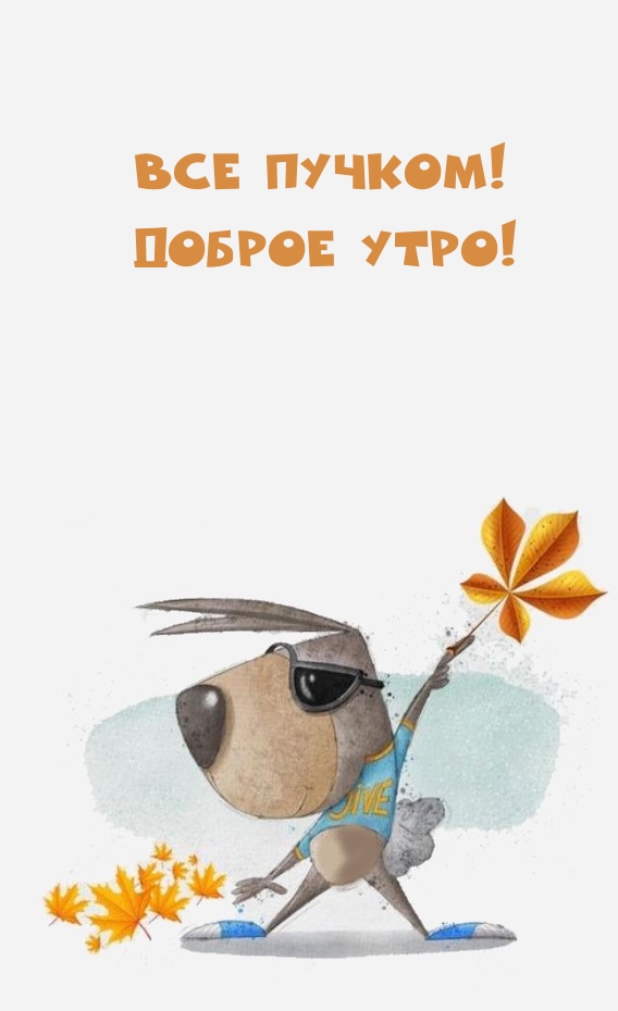 Все пучком! Доброе утро!