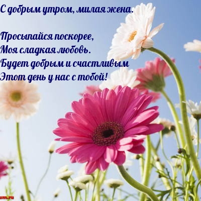 С добрым утром, милая жена
