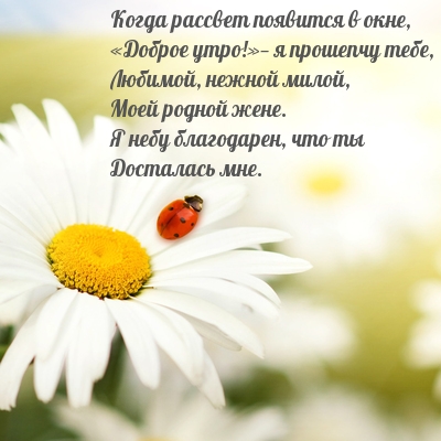 Доброе утро!— я прошепчу тебе
