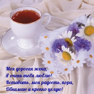 Моя дорогая жена, вставать пора!