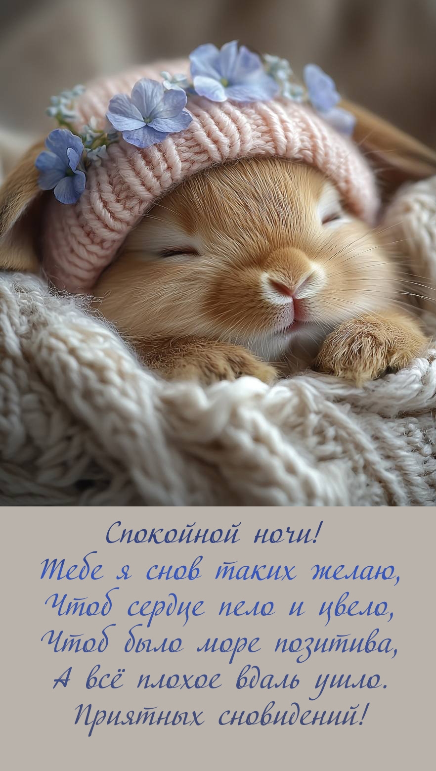 Спокойной ночи! Тебе я снов таких желаю, чтоб сердце пело и цвело