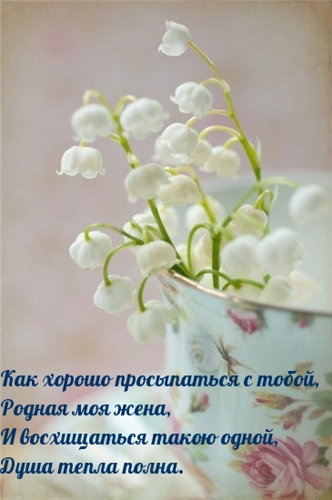 Как хорошо просыпаться с тобой, родная моя жена