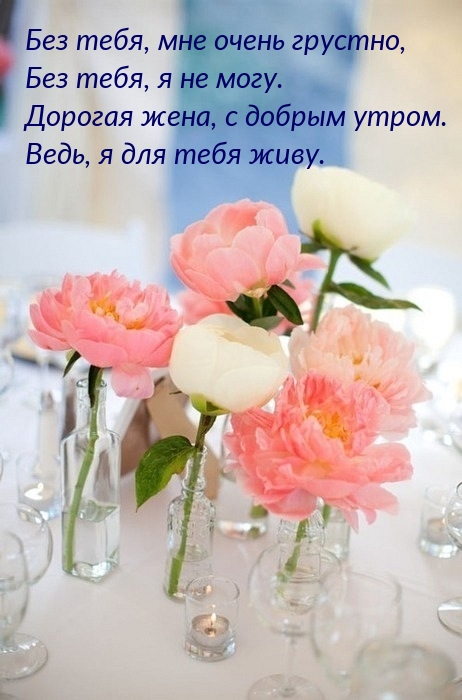 Дорогая жена, с добрым утром! Без тебя, я не могу