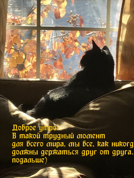 Мы должны держаться друг от друга.. подальше)