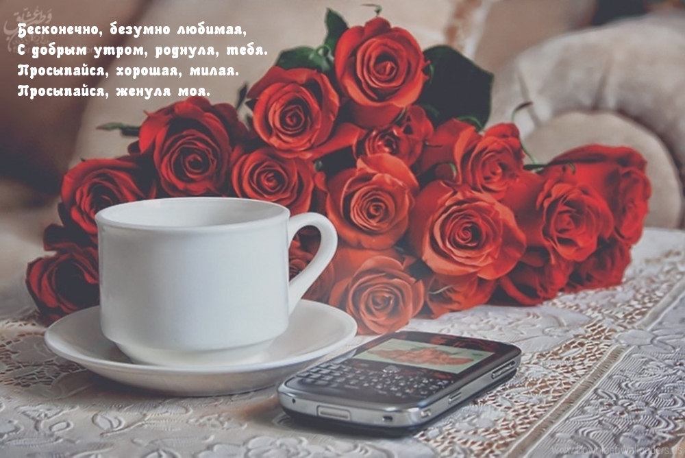 С добрым утром, роднуля, тебя!