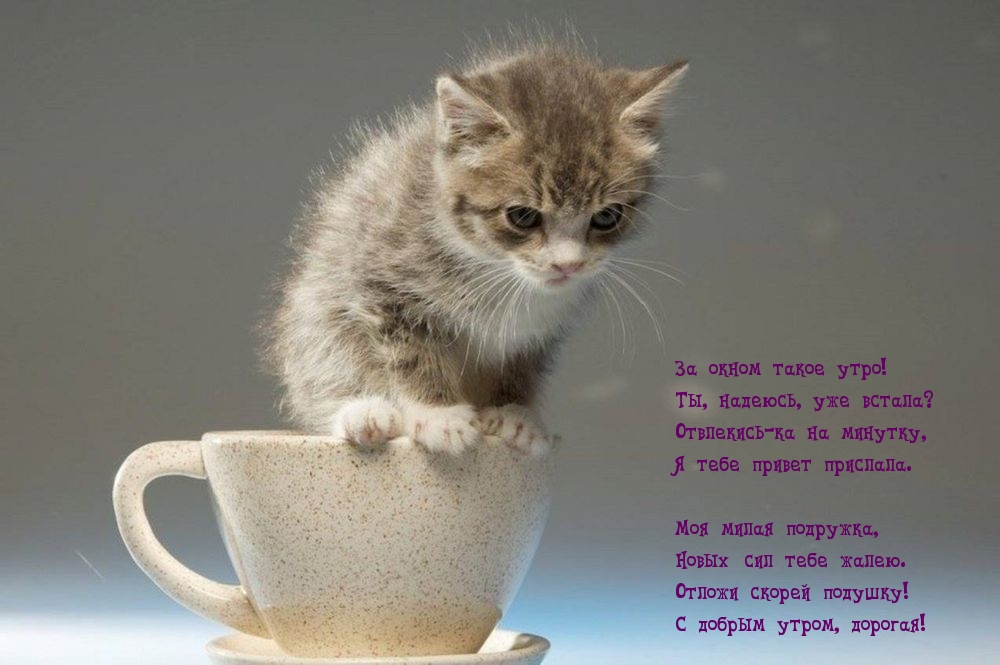 Ты, надеюсь, уже встала?