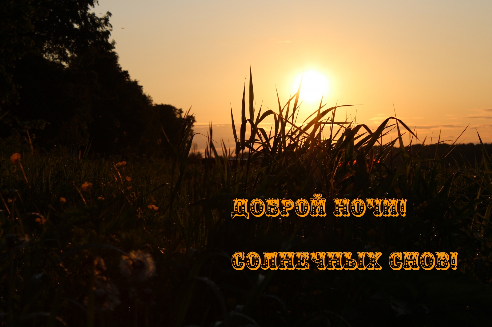 Доброй ночи! Солнечных снов!