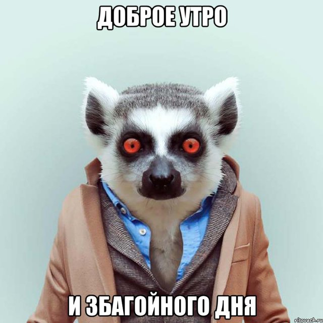 Доброе утро! И Збагойного дня!