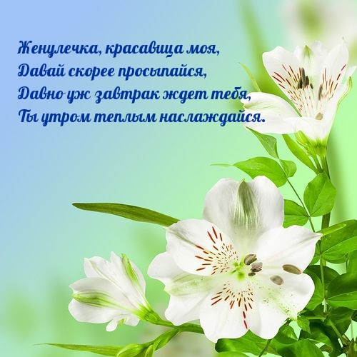 Женулечка, красавица моя, просыпайся!