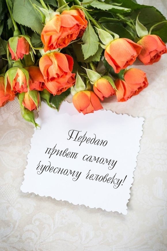Передаю привет самому чудесному человеку!
