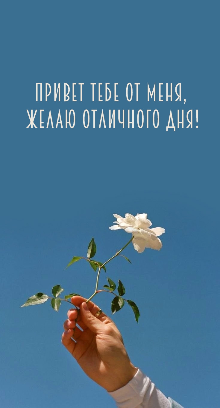 Привет тебе от меня, желаю отличного дня!