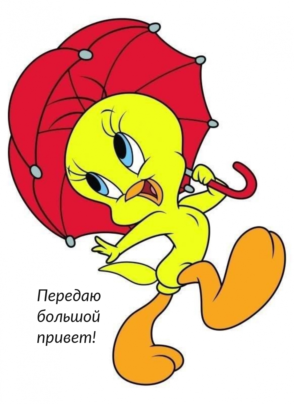 Передаю большой привет!