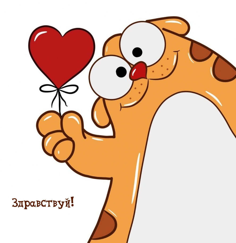 Здравствуй!