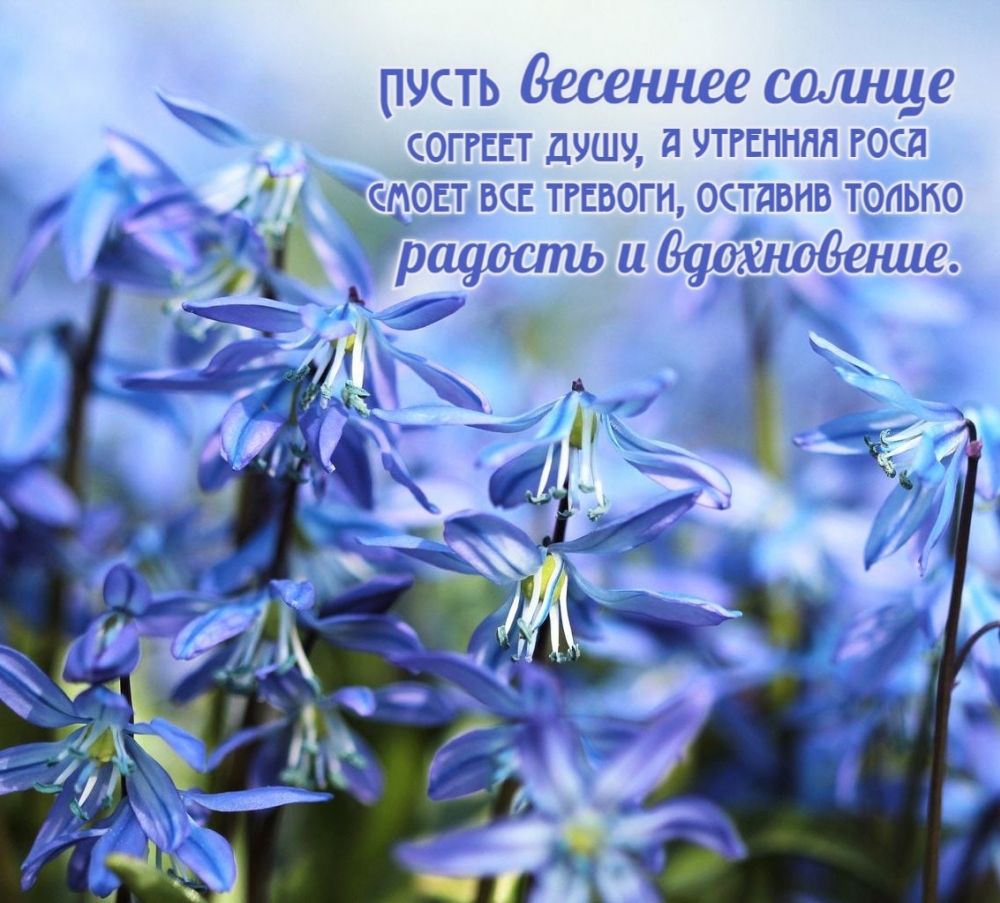 Пусть весеннее солнце согреет душу, а утренняя роса смоет все тревоги