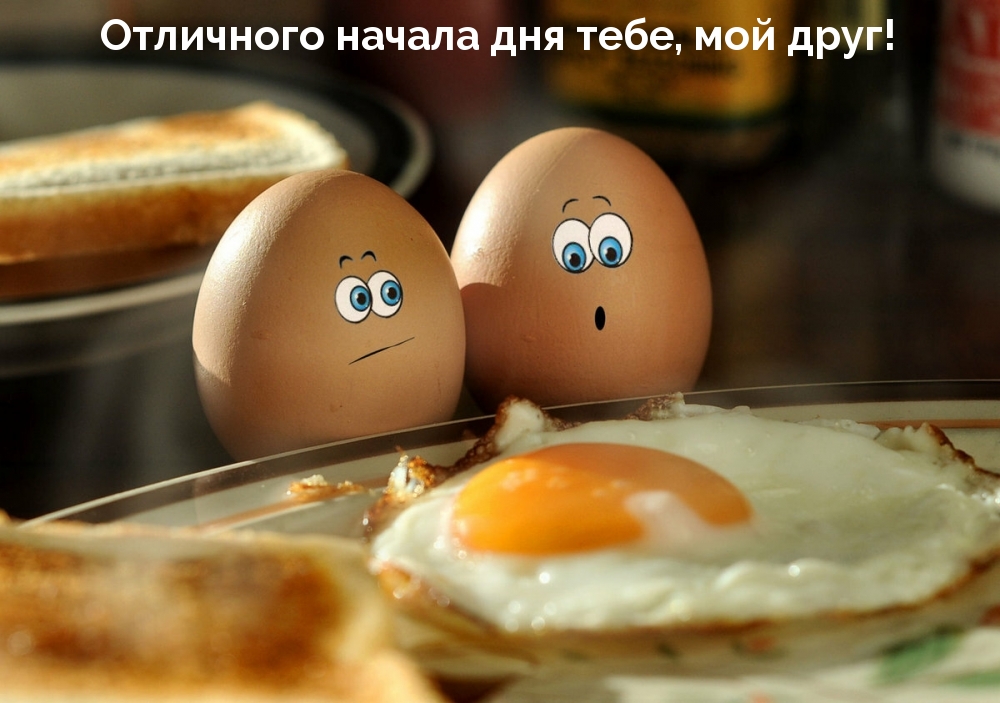 Отличного начала дня тебе, мой друг!