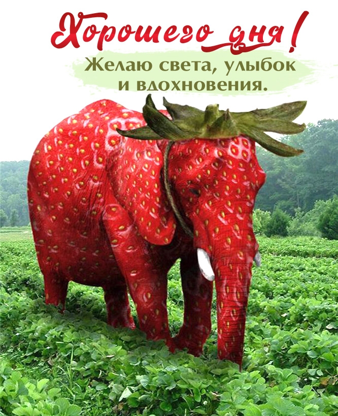 Хорошего дня! Желаю света, улыбок и вдохновения.