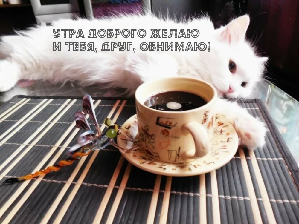 Утра доброго желаю И тебя, друг, обнимаю!