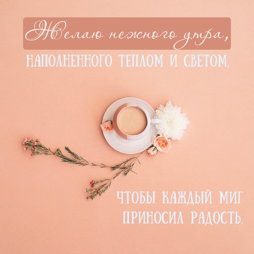 Картинка - Желаю нежного утра, наполненного теплом и светом.