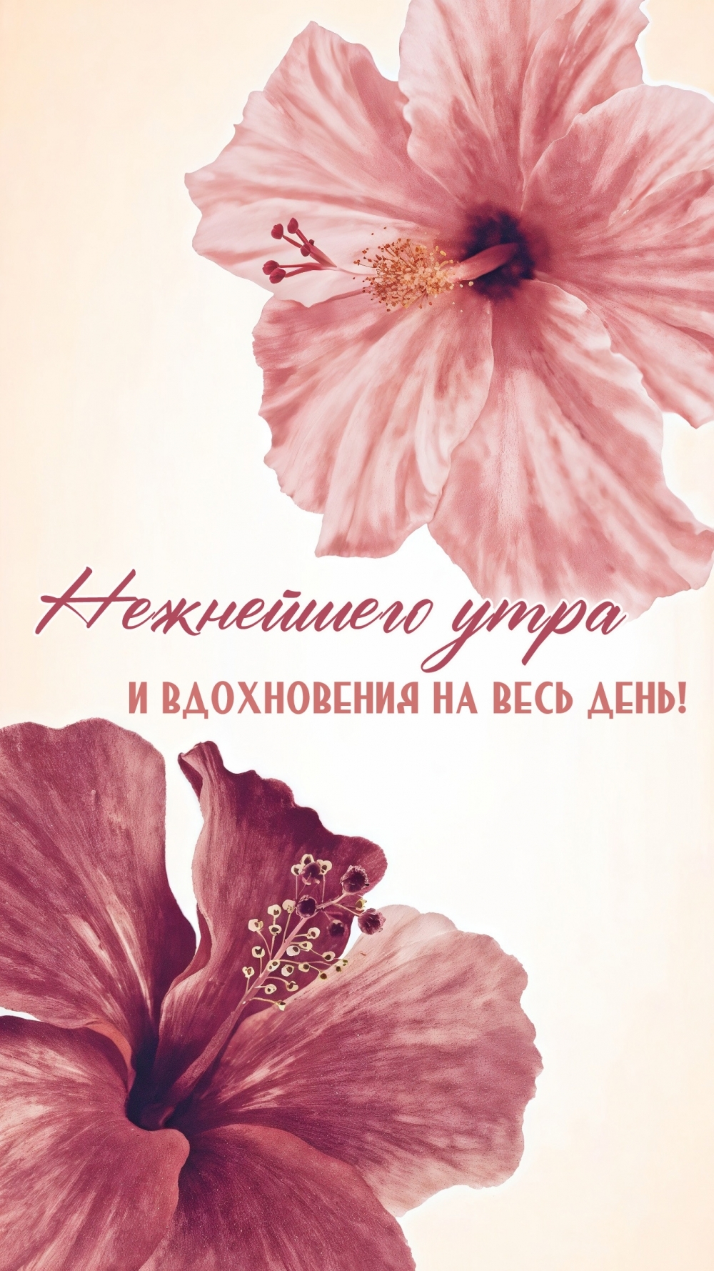 Нежнейшего утра и вдохновения на весь день!