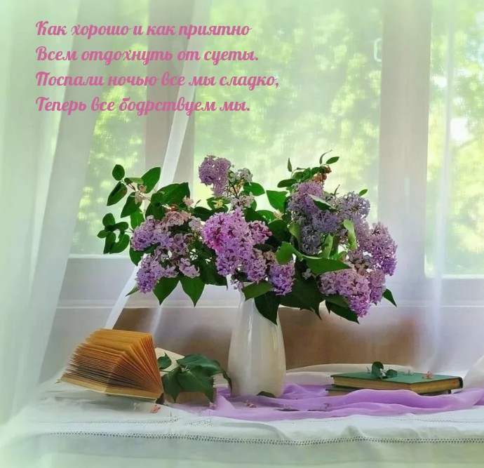 Поспали ночью все мы сладко!