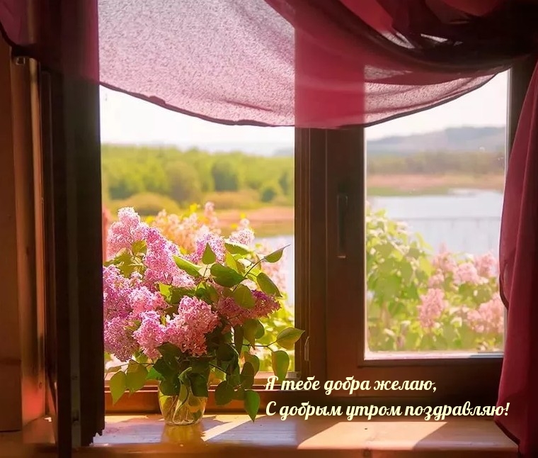 Я тебе добра желаю, С добрым утром поздравляю!
