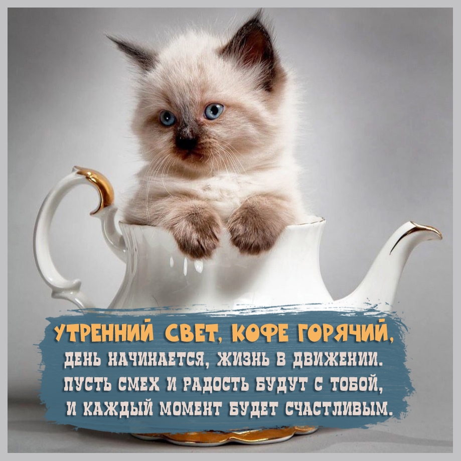 День начинается, жизнь в движении! Стихотворение