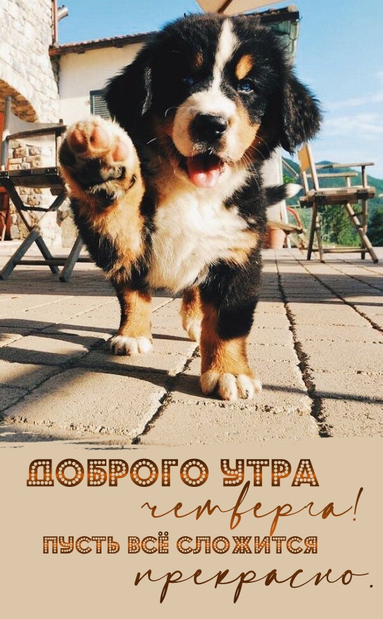 Доброго утра четверга! Пусть всё сложится прекрасно.