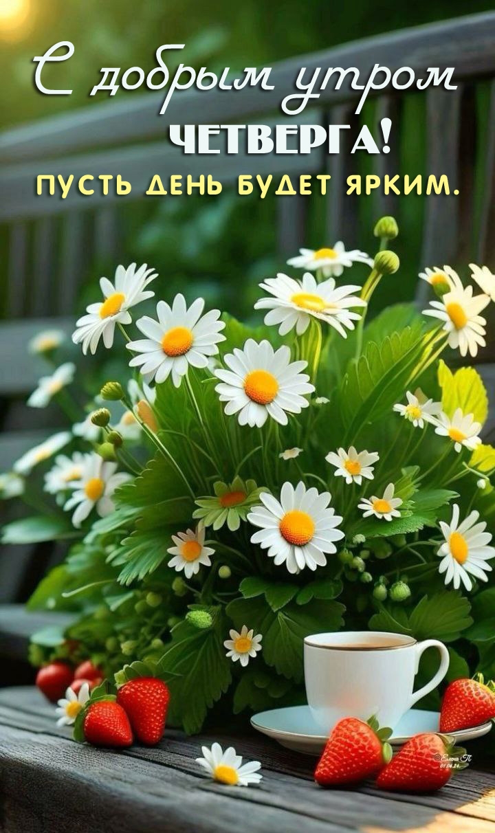 Пусть четверг будет ярким.