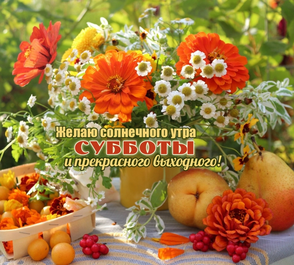 Желаю солнечного утра субботы и прекрасного выходного!