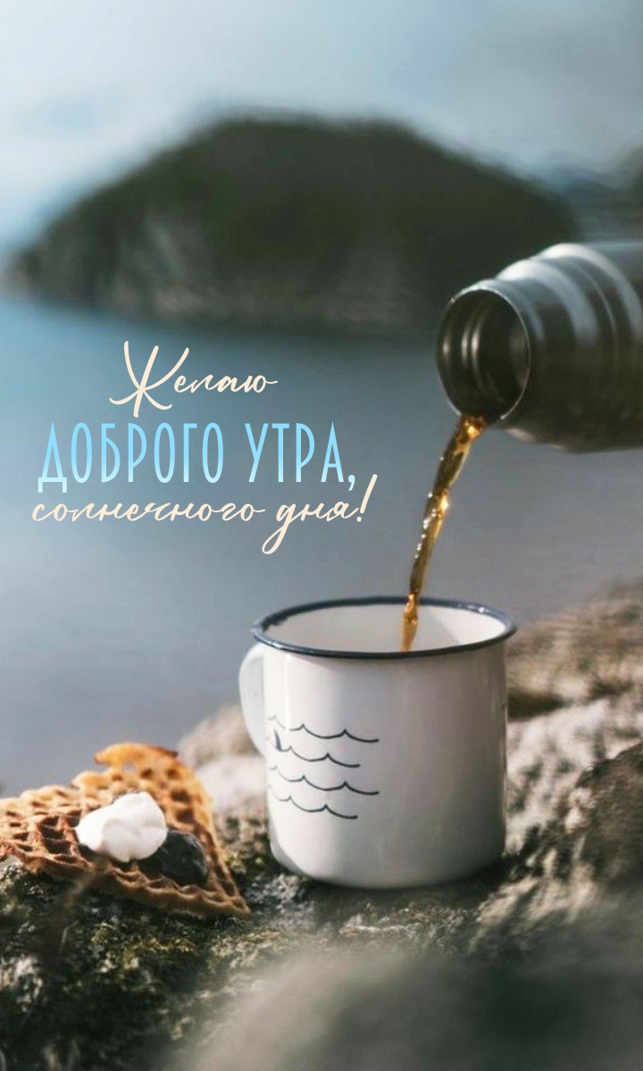 Желаю доброго утра, солнечного дня!
