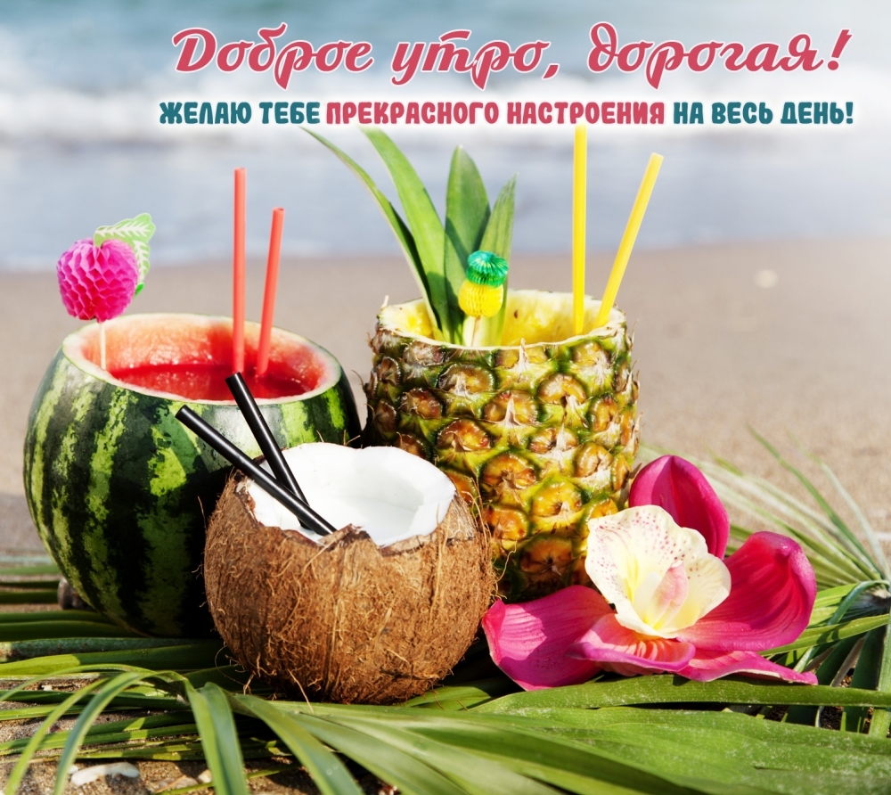 Доброе утро, дорогая! Желаю тебе прекрасного настроения!