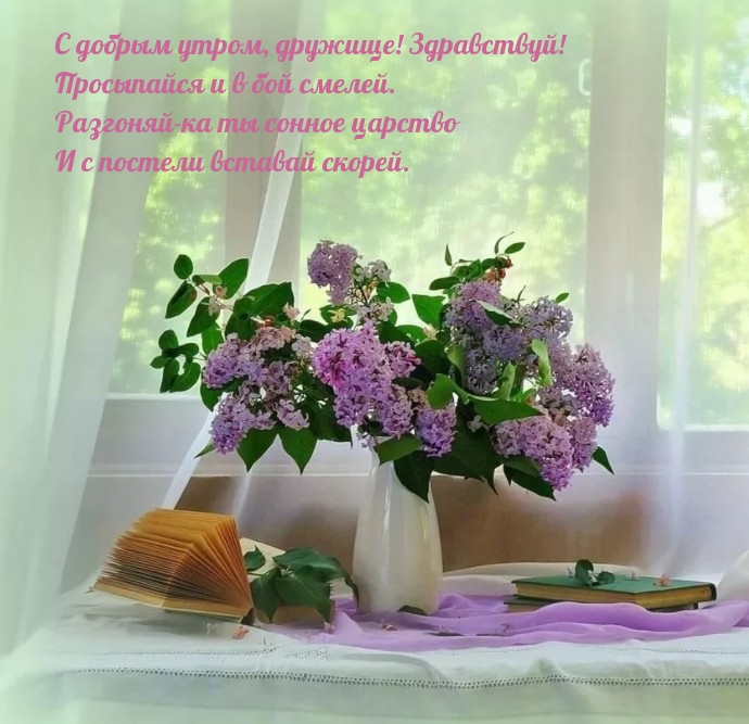 С добрым утром, дружище! Здравствуй!