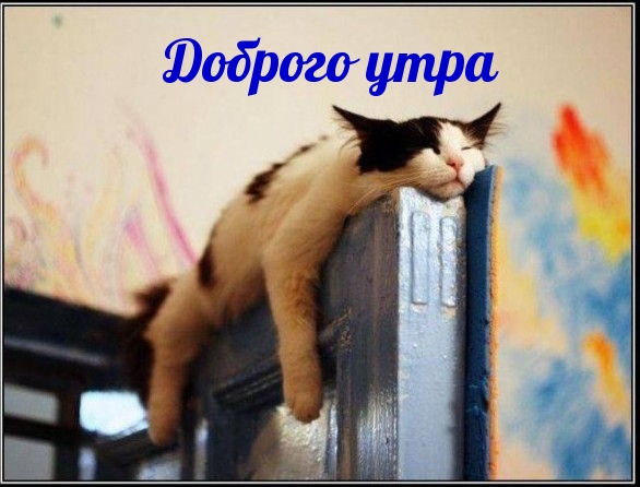 Доброго утра