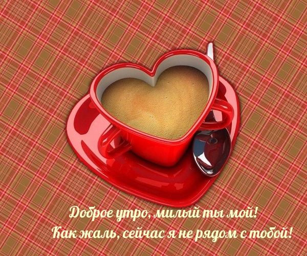 Доброе утро, милый ты мой! Жаль, ты не рядом