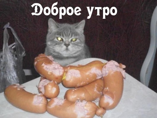 Доброе утро