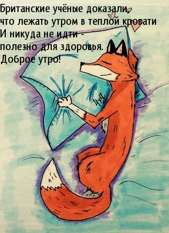 Лежать утром в теплой кровати — полезно для здоровья