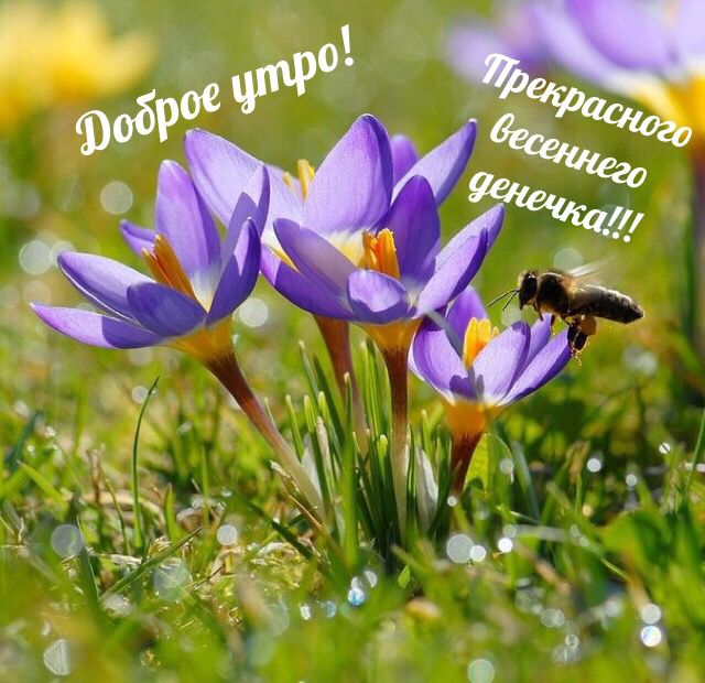 Прекрасного весеннего денечка!