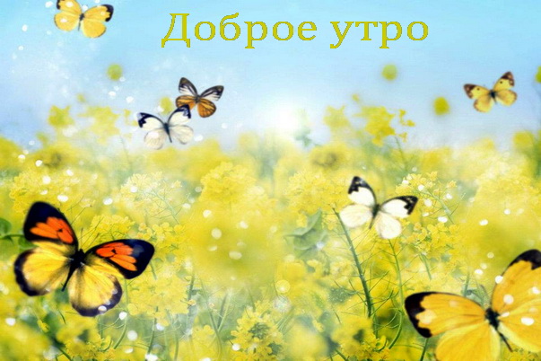 Доброе утро!