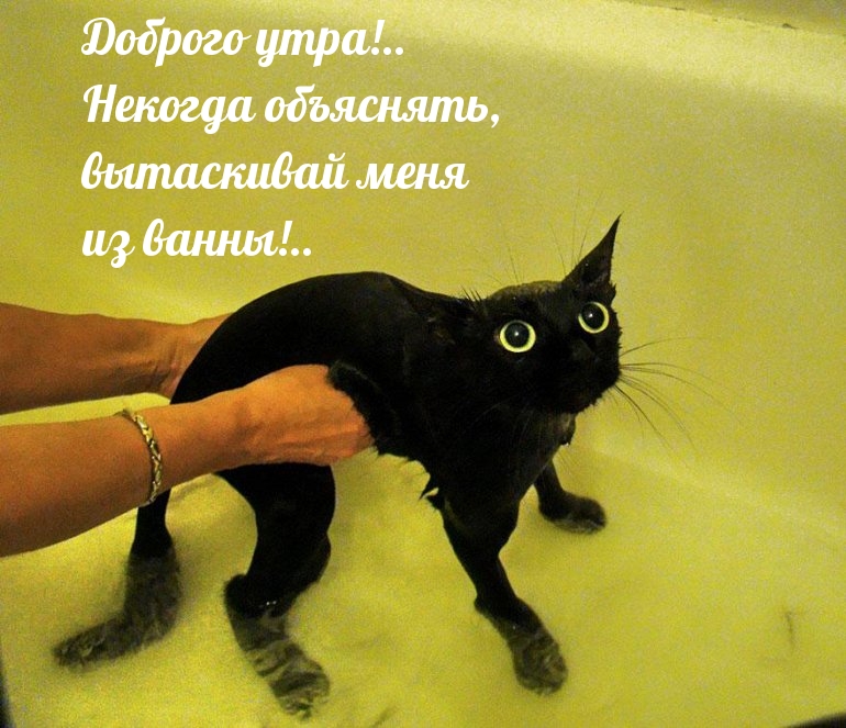 Доброго утра!.. Некогда объяснять…