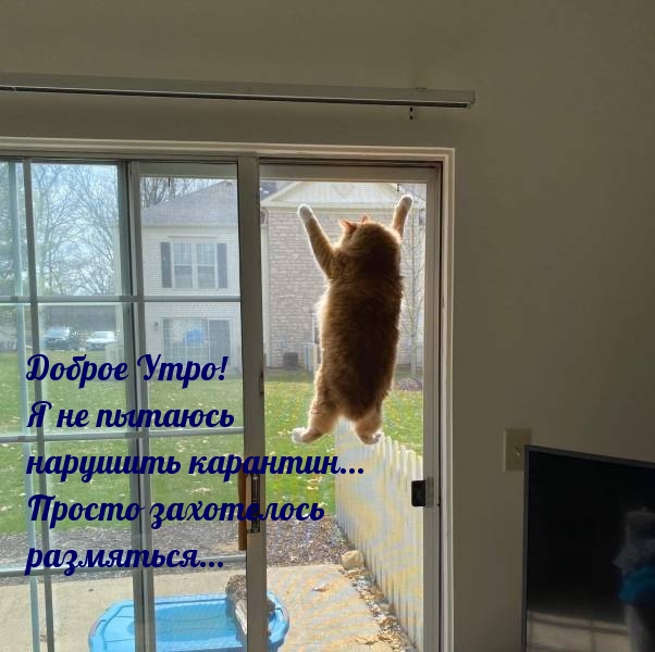 Доброе Утро! я не пытаюсь нарушить карантин