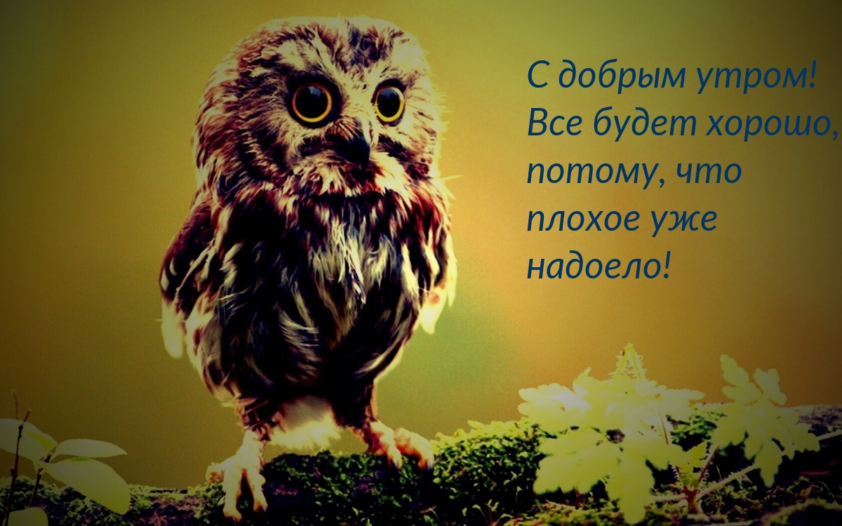 С добрым утром! Все будет хорошо!
