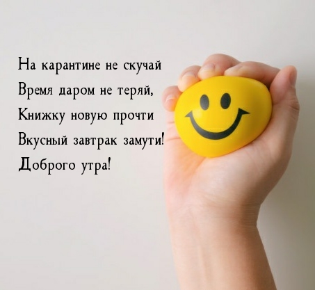 На карантине не скучай! Доброго утра!
