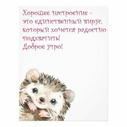 Желаю подхватить хорошее настроение, а не вирус