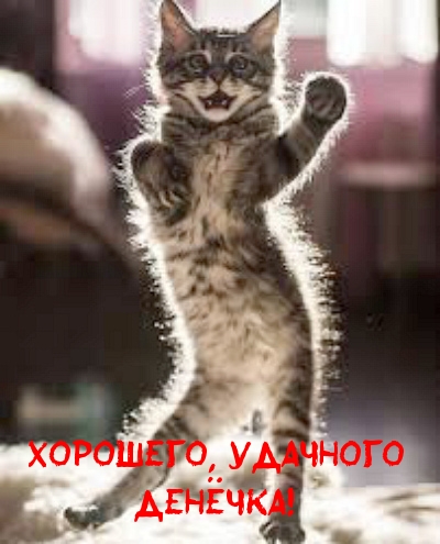 Хорошего, удачного денёчка!