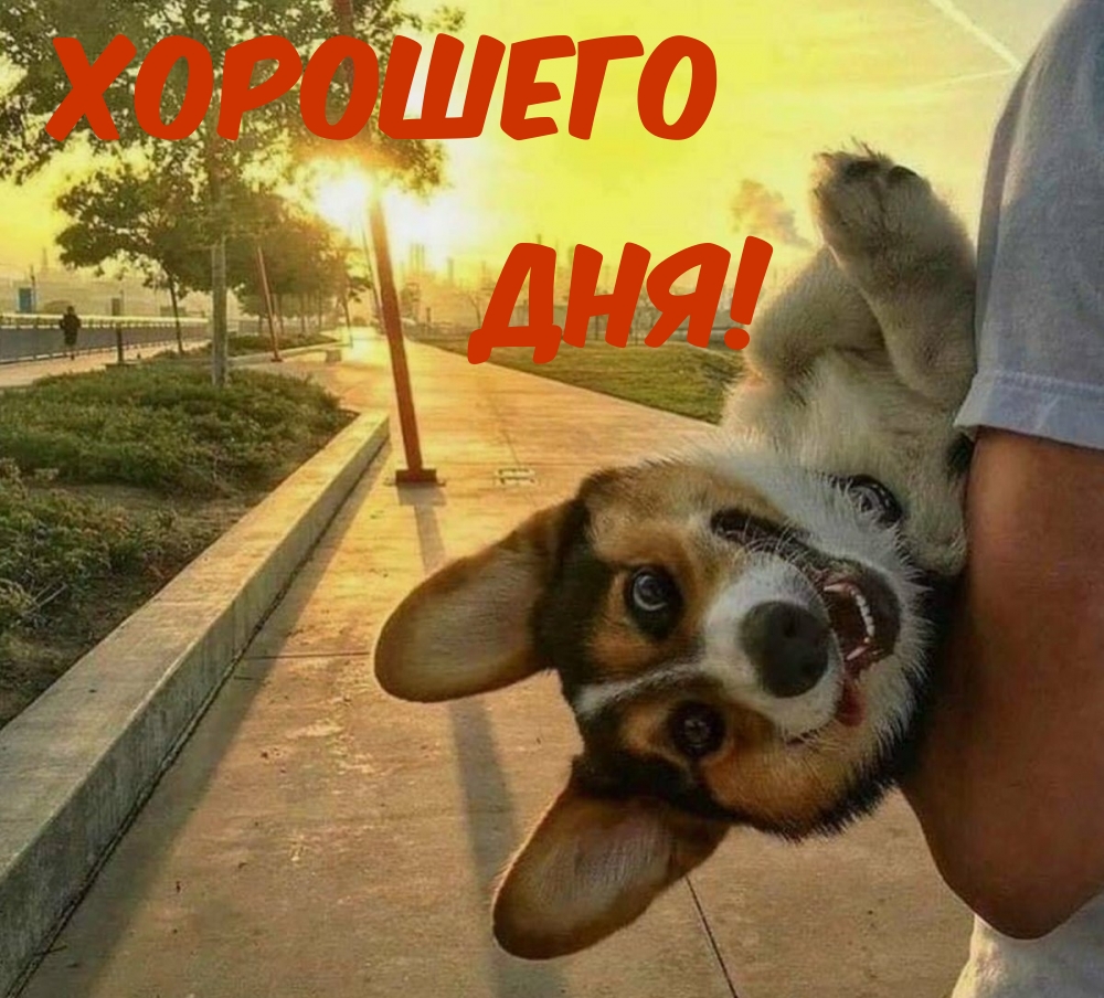 Хорошего Дня!
