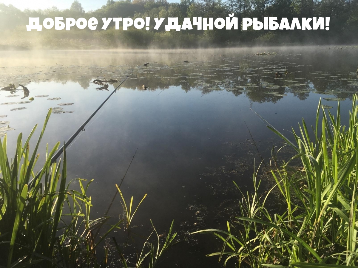 Доброе утро! Удачной рыбалки!