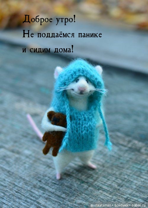 Доброе утро! Не поддаёмся панике и сидим дома!
