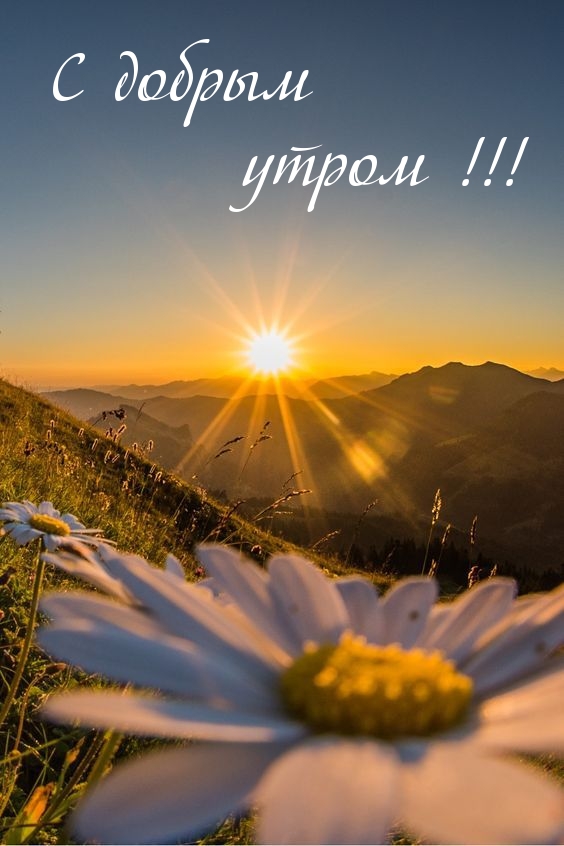 С добрым утром!