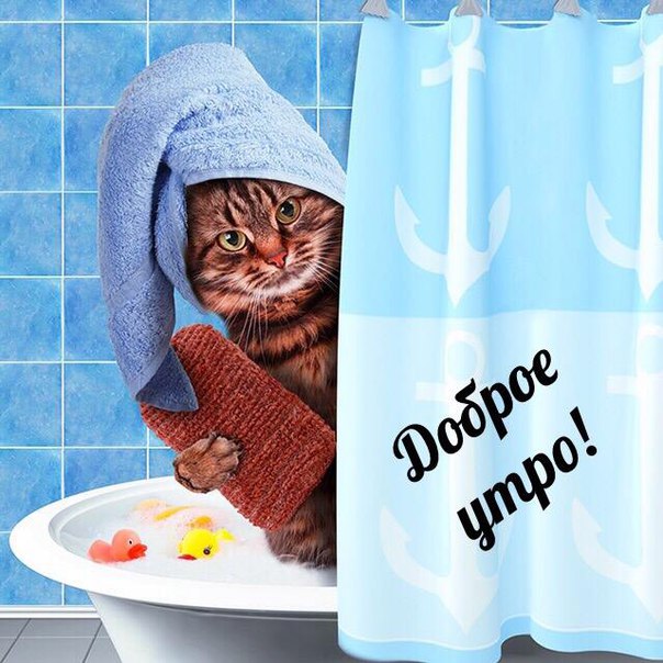 Доброе утро!